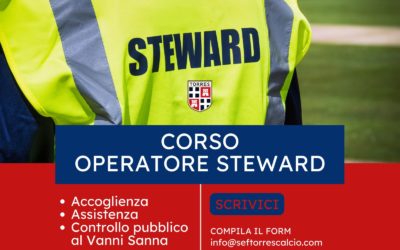 CORSO DI FORMAZIONE PER “OPERATORE STEWARD” NEGLI STADI, PALAZZETTI DELLO SPORT, EVENTI, CONCERTI, SPETTACOLI E MANIFESTAZIONI